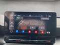 CUPRA Formentor 1.5 TSI DSG NAVI RFK PLA ACC SHZ LED Weiß - thumbnail 19