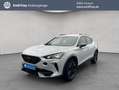 CUPRA Formentor 1.5 TSI DSG NAVI RFK PLA ACC SHZ LED Weiß - thumbnail 1