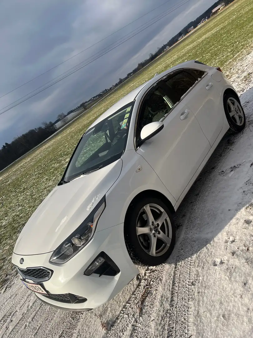 Kia Ceed / cee'd ceed 1,4 TGDI Silber DCT Silber Weiß - 1