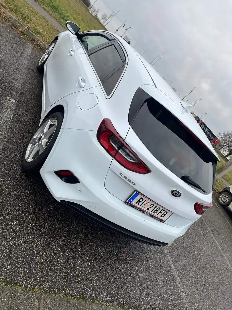 Kia Ceed / cee'd ceed 1,4 TGDI Silber DCT Silber Weiß - 2
