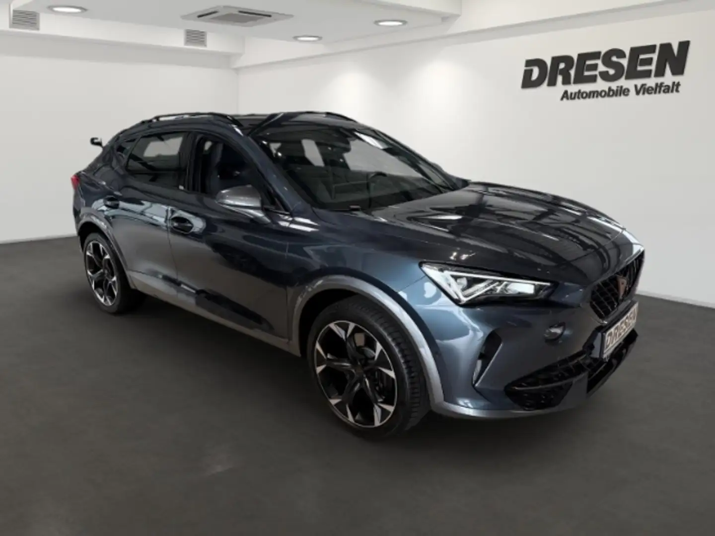 CUPRA Formentor VZ 2.0 TSI 7-Gang-DSG/Parklenkassistent/SHZ Grijs - 2