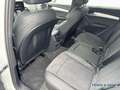 Audi Q5 40 TDI quattro S line Edition-Matrix-ACC-360° Weiß - thumbnail 11