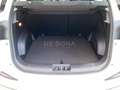 EMC SEI 1.5 gpl 147cv cvt Weiß - thumbnail 22