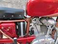Ducati 175 S Sport Rojo - thumbnail 17