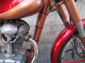 Ducati 175 S Sport Rojo - thumbnail 20
