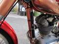 Ducati 175 S Sport Rojo - thumbnail 21
