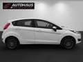 Ford Fiesta Trend 1,0 | 1.BESITZ | TOP GEPFLEGTER ZUSTAND | Weiß - thumbnail 5