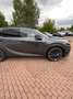 Lexus RX 450h RX 450 h+ E-FOUR F SPORT Design Gris - thumbnail 2