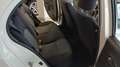 Nissan Micra 1.2 Acenta Young E6 KM 19000 Bianco - thumbnail 11