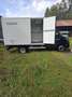 Iveco Daily 35S13D 2.3t Frigo et congelateur - thumbnail 6
