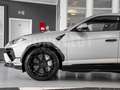 Lamborghini Urus Performante NEW, ADAS, MY25, B&O, Grigio Nimbus (S Silber - thumbnail 39