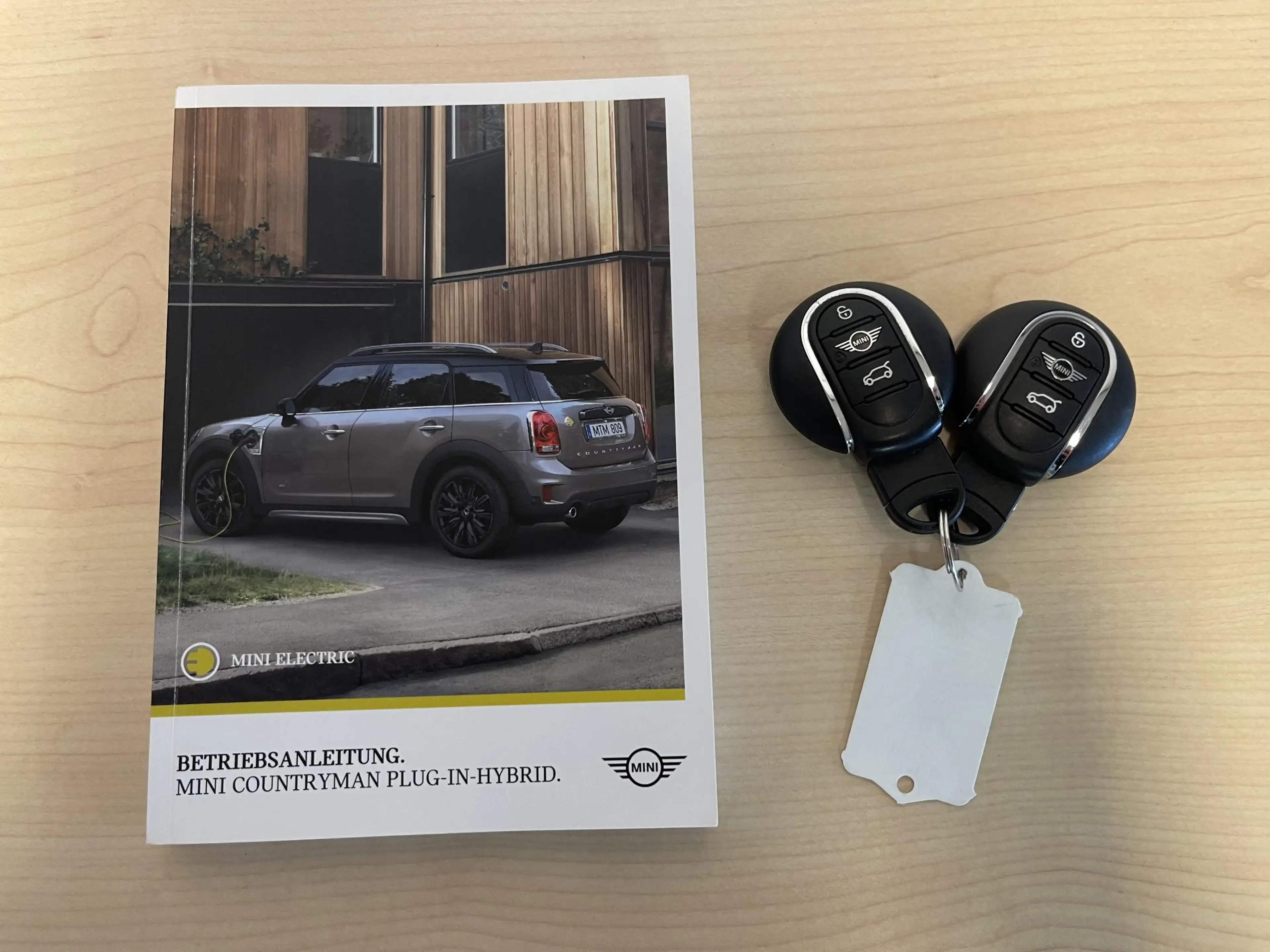 MINI Cooper SE Countryman Mini 1.5 ALL4 Salt John Cooper Works 19"/Panoramad — photo 38