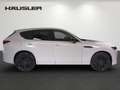 Mazda CX-60 2.5 Homura AWD Automatik Leder LED Schiebedach Schwarz - thumbnail 3