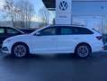 Skoda Octavia Combi 1.5 TSI Ambition SMART-LINK+VIRTUA Weiß - thumbnail 2