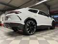 Lamborghini Urus Dt.Auto*1.Hand*u-frei*Carbon*23*Facelift Blanc - thumbnail 2