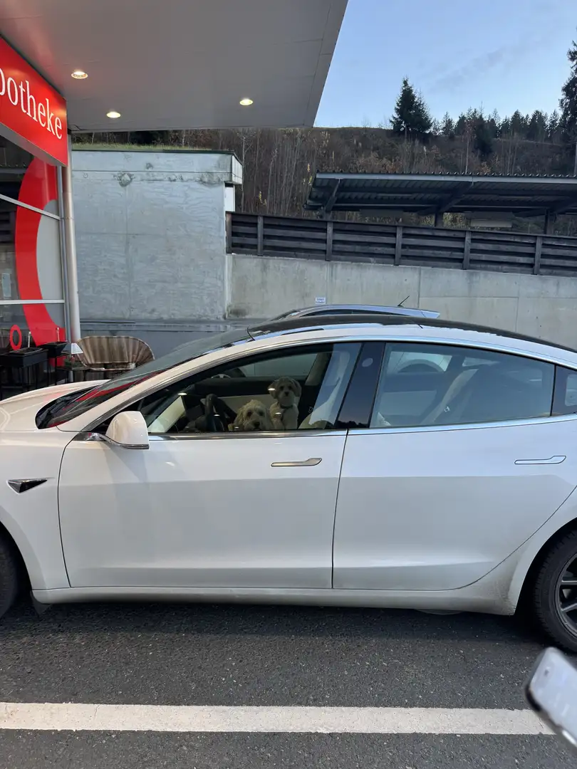 Tesla Model 3 Long Range AWD 75kWh - 1