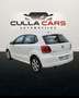 Volkswagen Polo 1.6TDI Advance 90 Blanco - thumbnail 4