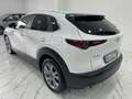 Mazda CX-30 CX-30 2.0 m-hybrid Executive 2wd 122cv 6mt Weiß - thumbnail 4
