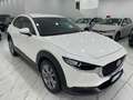 Mazda CX-30 CX-30 2.0 m-hybrid Executive 2wd 122cv 6mt Weiß - thumbnail 8