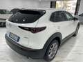 Mazda CX-30 CX-30 2.0 m-hybrid Executive 2wd 122cv 6mt Weiß - thumbnail 6