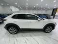 Mazda CX-30 CX-30 2.0 m-hybrid Executive 2wd 122cv 6mt Weiß - thumbnail 7
