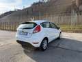 Ford Fiesta Fiesta 1.2 60CV 5 porte Titanium Blanc - thumbnail 6