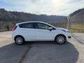 Ford Fiesta Fiesta 1.2 60CV 5 porte Titanium Blanc - thumbnail 8