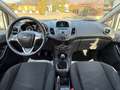 Ford Fiesta Fiesta 1.2 60CV 5 porte Titanium Blanc - thumbnail 14