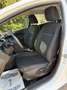 Ford Fiesta Fiesta 1.2 60CV 5 porte Titanium Blanc - thumbnail 11