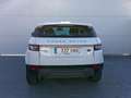 Land Rover Range Rover Evoque Pure Wit - thumbnail 3
