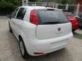 Fiat Punto Fiat Punto 1.4 benzina Lounge Blanco - thumbnail 6