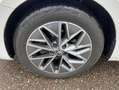 Skoda Octavia Combi 2.0 TDI DSG 17"+NAVI-COLUMBUS+LED+ Weiß - thumbnail 10