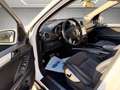 Mercedes-Benz ML 350 21"AMG*Xenon*Navi*Leder*Schiebedach*AHK Weiß - thumbnail 10