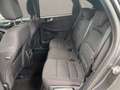 Ford Kuga 2.0 ecoblue ST-Line 2wd 120cv auto Gris - thumbnail 6