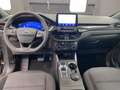 Ford Kuga 2.0 ecoblue ST-Line 2wd 120cv auto Gris - thumbnail 5