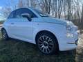 Fiat 500C 1.2 Collezione 69cv my19 - thumbnail 2
