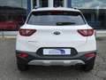 Kia Stonic 1.0 AUTOMATICA HYBRID URBAN/BLACK EDITION/GT-LINE Blanco - thumbnail 12