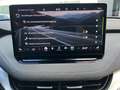 Skoda Enyaq iV 80 Loft/ACC/KAMERA/SHZ/LED/WÄRMEPUMPE/ Blau - thumbnail 11