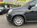 Fiat Panda 1.0 FireFly S&S Hybrid Nero - thumbnail 10