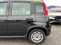 Fiat Panda 1.0 FireFly S&S Hybrid Nero - thumbnail 11