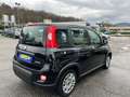 Fiat Panda 1.0 FireFly S&S Hybrid Nero - thumbnail 7