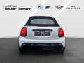 MINI Cooper S Cabrio Cooper S Cabrio JCW Trim*NAVI*HUD*H+K Weiß - thumbnail 5