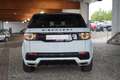 Land Rover Discovery Sport 2.0 Bi-Xenon Navi Kamera Leder Weiß - thumbnail 4