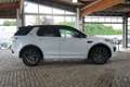 Land Rover Discovery Sport 2.0 Bi-Xenon Navi Kamera Leder Weiß - thumbnail 6