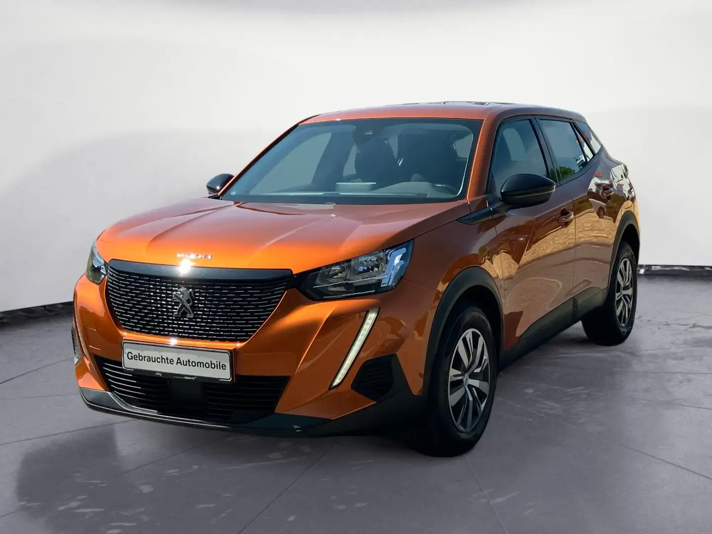 Peugeot 2008 PureTech 100 Active Pack Sitzheizung PDC Te Oranje - 1