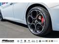 Alfa Romeo Giulia Competizione Q4 2.0 Turbo HARMAN-KARDON MEMORY NAV Grau - thumbnail 7
