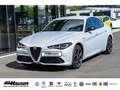 Alfa Romeo Giulia Competizione Q4 2.0 Turbo HARMAN-KARDON MEMORY NAV Серый - thumbnail 1