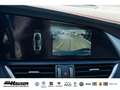 Alfa Romeo Giulia Competizione Q4 2.0 Turbo HARMAN-KARDON MEMORY NAV Серый - thumbnail 23