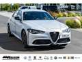 Alfa Romeo Giulia Competizione Q4 2.0 Turbo HARMAN-KARDON MEMORY NAV Grau - thumbnail 5