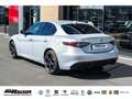 Alfa Romeo Giulia Competizione Q4 2.0 Turbo HARMAN-KARDON MEMORY NAV Серый - thumbnail 3